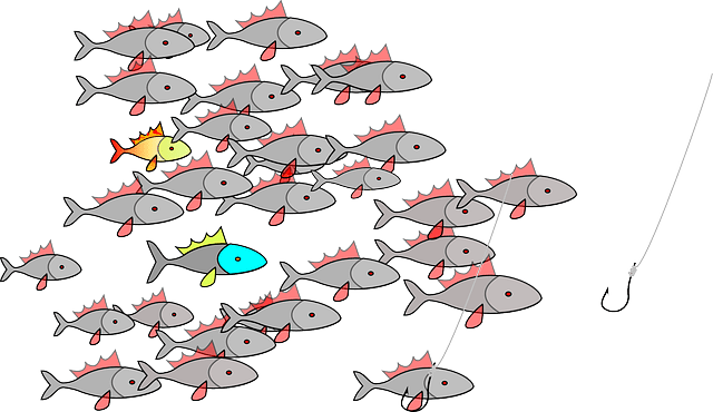 fishing