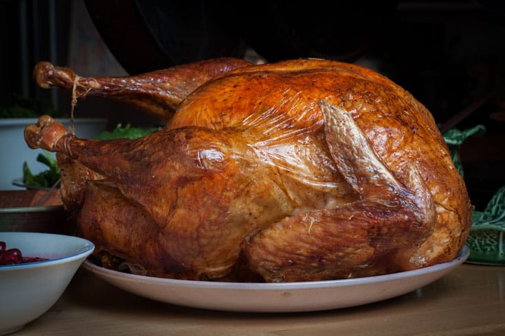 Turkey gratitude thanksgiving buddhism shambhala sun Lion's roar