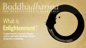 Buddhadharma, Enlightenment, Magazine, Lion's Roar