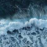 Take a Closer Look at the Journey from Birth to Death