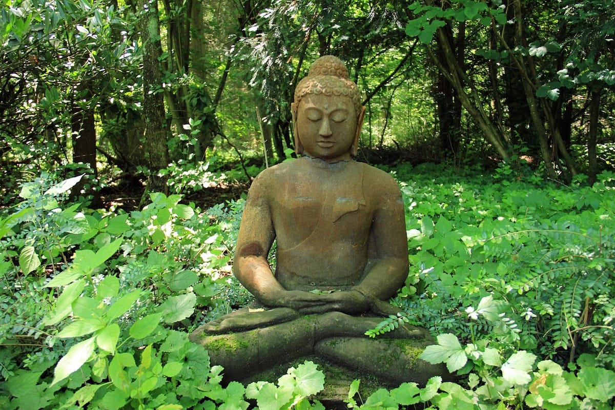 Meditation, Sakyong Mipham, Self, Shambhala Sun, Suffering, Vajrayana / Tibetan Buddhism, Lion's Roar, Buddhism