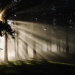 The Alchemy of Mindfulness