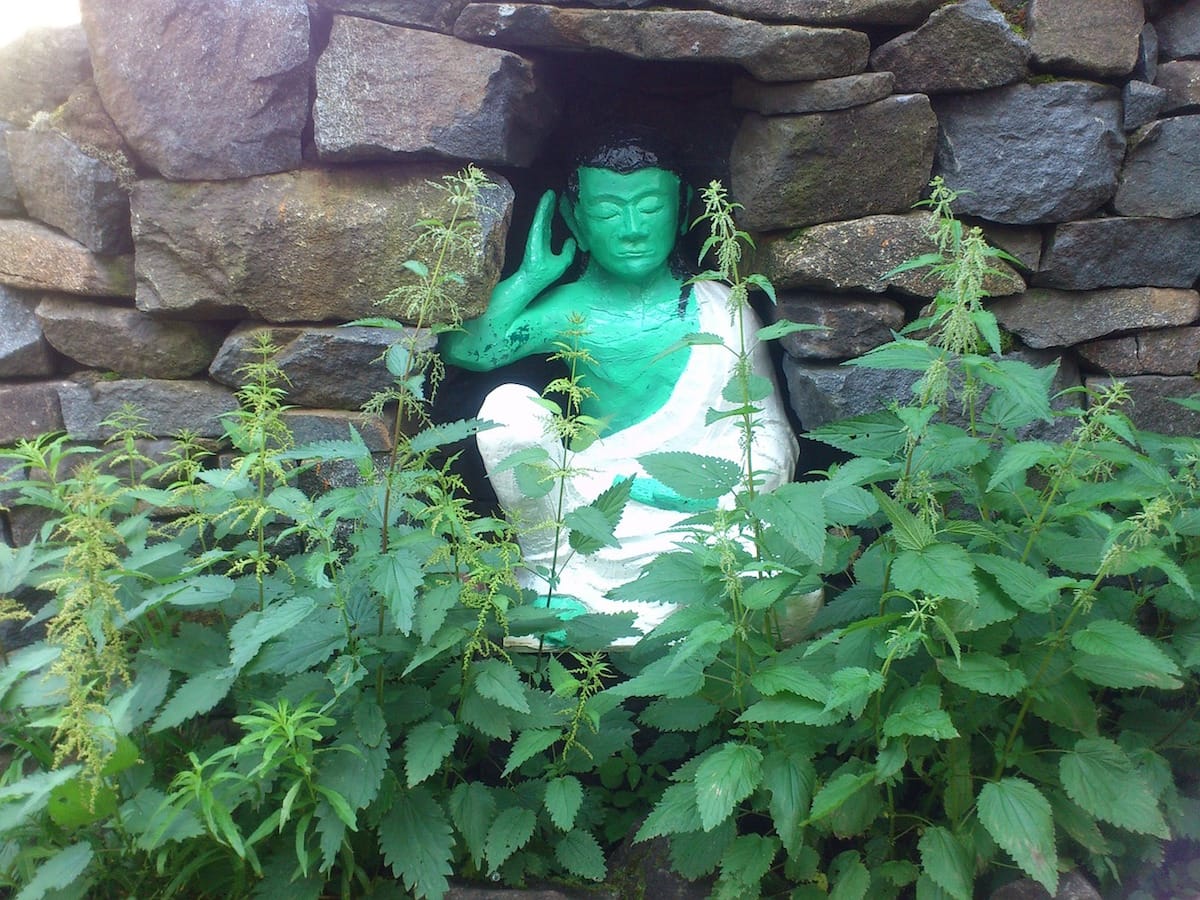 Mind, Meditation, Sakyong Mipham, Vajrayana / Tibetan Buddhism, Shambhala Sun, Lion's Roar, Buddhism