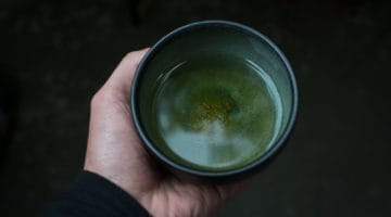 What did Yan T’ou Whisper? A Commentary on “Te Shan Holds His Bowl”