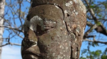 Hearing, Meditation, Sakyong Mipham, Shambhala Sun, Lion's Roar, Buddhism