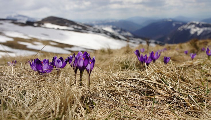 Photo by Biegun Wachodni.