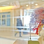The Lama in the Lab: Neuroscience and Meditation