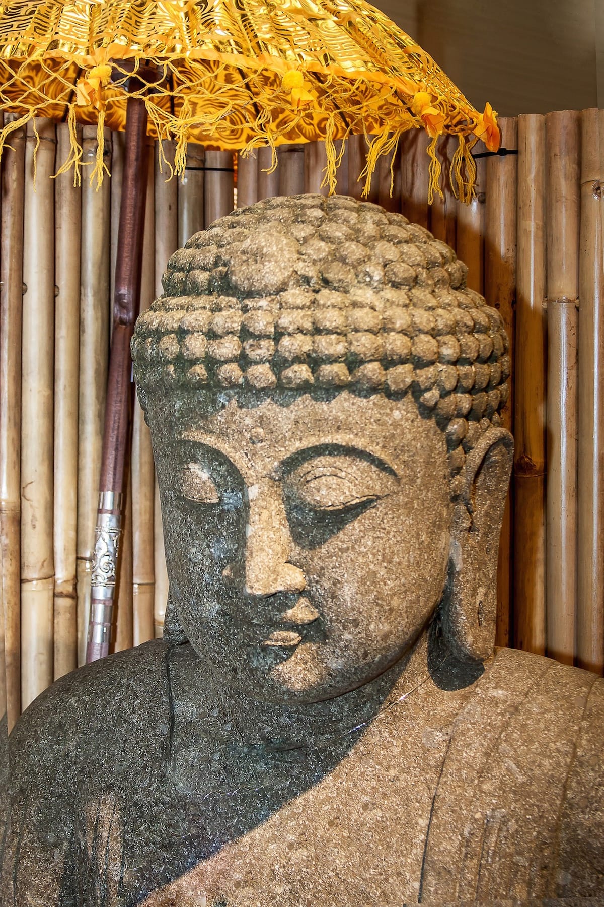 Self, Vajrayana / Tibetan Buddhism, Meditation, Sakyong Mipham,, Shambhala Sun, Lion's Roar, Buddhism