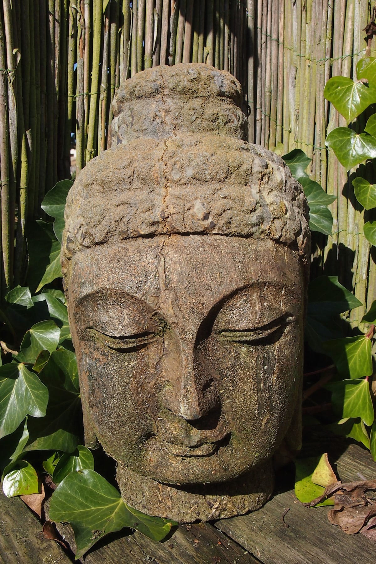 Shambhala Sun, Cheerfulness, Happiness, Sakyong Mipham, Vajrayana / Tibetan Buddhism, Lion's Roar, Buddhism