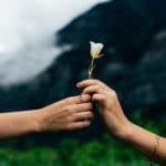 Searching for the Heart of Compassion