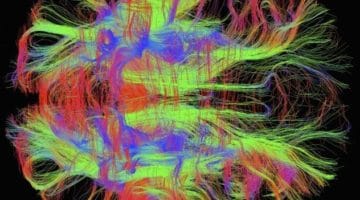 Studying Mind from the Inside