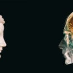 The Science of the Mind and the Science of the Brain