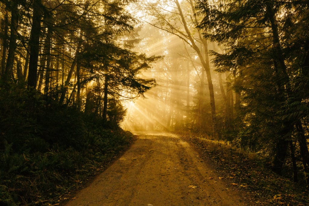 Photo by Patrick Fore.