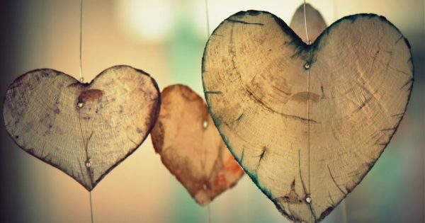 The Perfect Love We Seek The Imperfect Love We Live Lion S Roar The Perfect Love We Seek The Imperfect Love We Live Lion S Roar