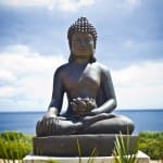 Forum: Are Kleshas Obstacles or Opportunities for Enlightenment?