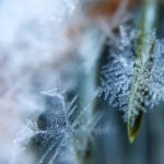 Beautiful Snowflakes
