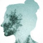 The Four Layers of Consciousness