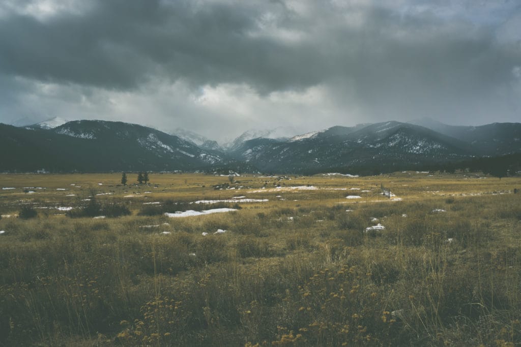 Photo by Scott Ogle.