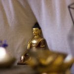 Training the Mind to Transform Adversity into Awakening