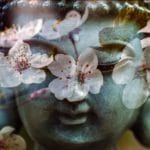 Meeting Pain with Awareness