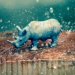Meeting the Chinese in St. Paul: Rhino Hits the Midwest