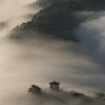 Koans for Troubled Times
