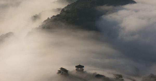 Pagoda in the mist.