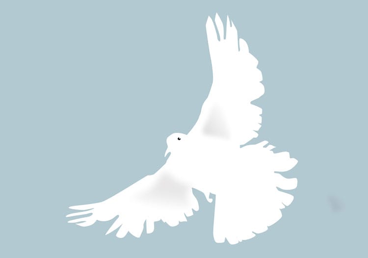 dove peace