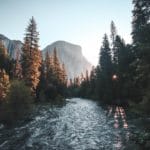 The Living Language