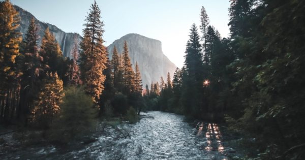 Instagram live download mac Instagram live download mac