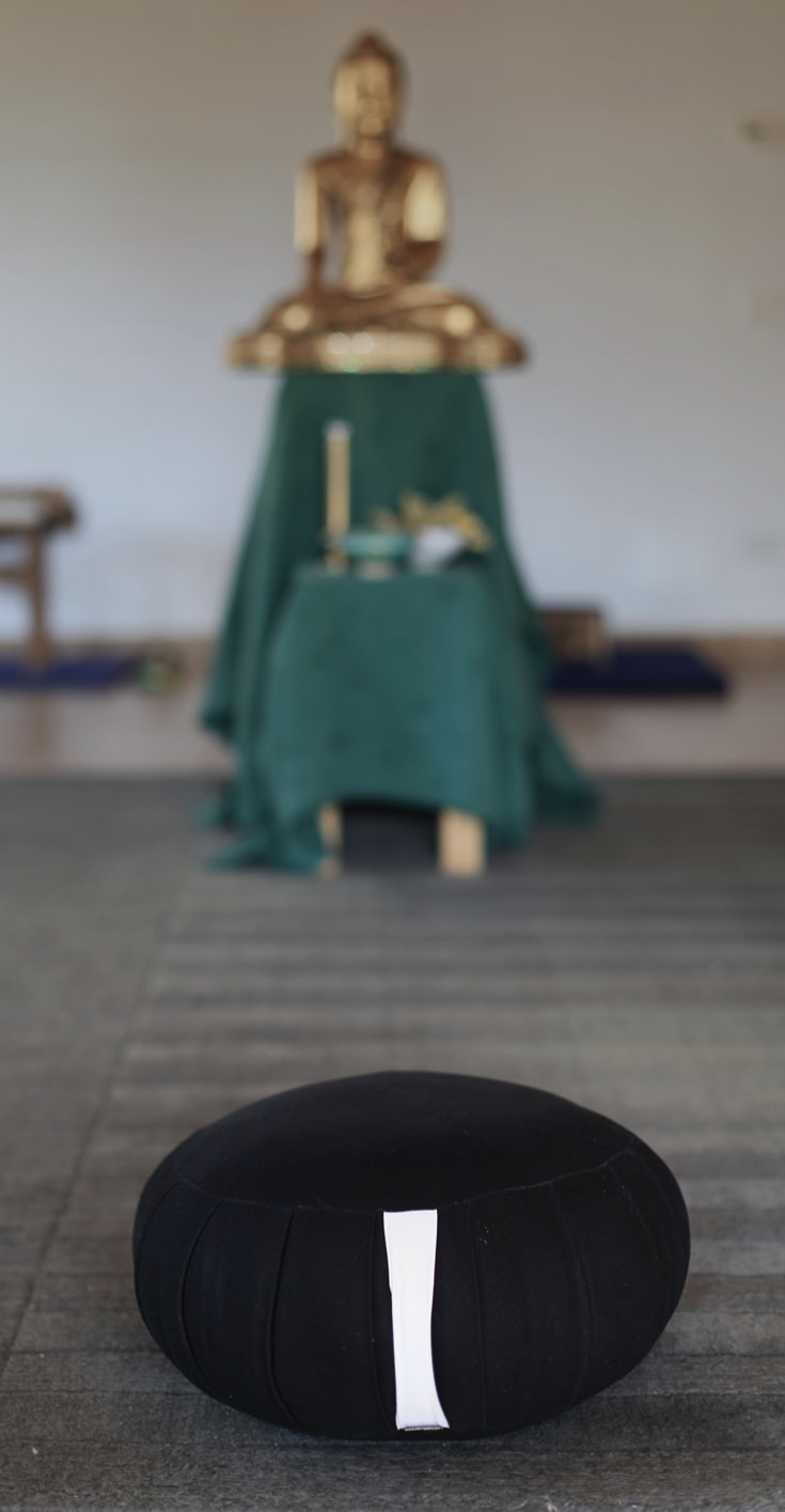 Zafu in front of a Buddha statue.