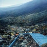 Can Buddhism Save the Planet?
