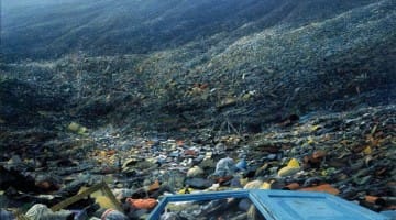 Buddhism environment planet Buddhadharma