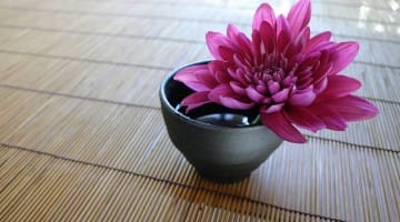 Basics Norman Fischer Shambhala Sun - Mar '04 Zen