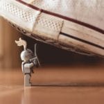 Night of the Cockroach