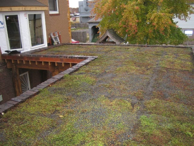 Green Roof