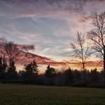 Practices of Gratitude: An Exploration for Thanksgiving