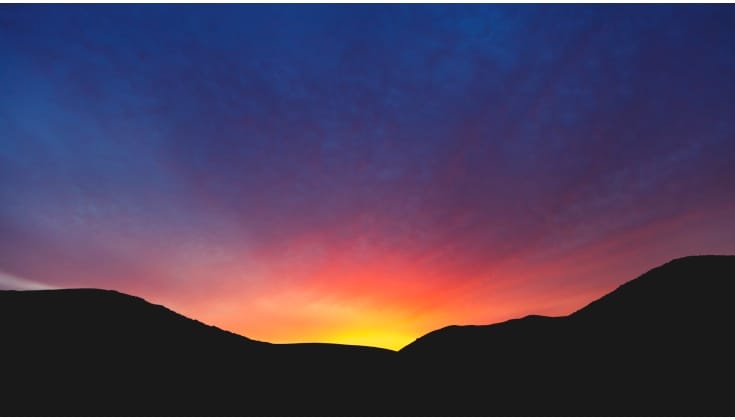 Dawn Light by Diane Ackerman Dawn Light by Diane Ackerman