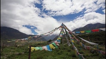 Tibet American Himalayan Foundation The Tibet Fund International Campaign for Tibet Andrea Miller