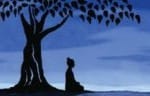 Q&A – The Buddha on PBS