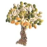 Sprouting Seeds of Compassion
