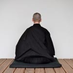 Through the Dharma Gate