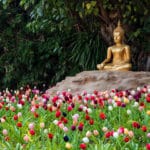 The Garden Path