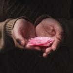 The Lessons of Gratitude