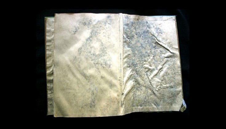 silbermanslideshow7