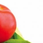 About a Poem: Jill S. Schneiderman on Donald Rothberg’s “Tomato”