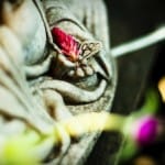Freeing the Body and Mind by Connecting Yoga and Buddhism