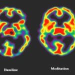 This is Your Brain on Mindfulness