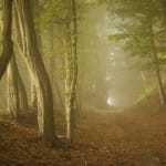 Suffering Opens The Real Path