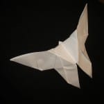 Embrace Change: “The Light of the Origami Butterfly”